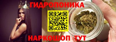 гашик Кулебаки