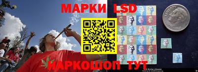 амф Кунгур