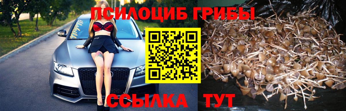 Псилоцибиновые грибы мухоморы Избербаш