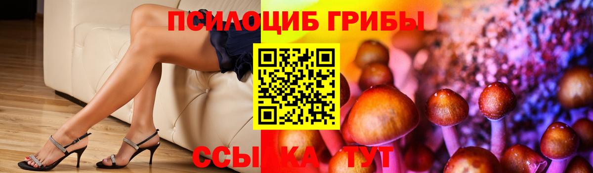 Псилоцибиновые грибы мухоморы  Вход с VPN  Избербаш 